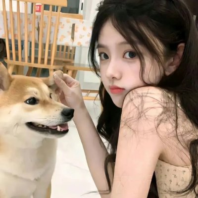 瞒天过海2:长驱直入
